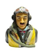 RC Flying German WWII Warbird Pilot Bust 1/6 Painted