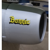 Cowling, Bonnie (P-47, TopRC Model)