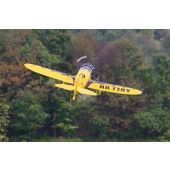 GeeBee 120, (ARF) Seagull Model