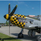 P-51D Mustang, Double Trouble Two, Top RC Model