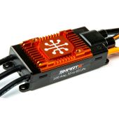 Avian 100 Amp Brushless Smart ESC, 3-6S Version A Item No. Spektrum - SPMXAE1100A