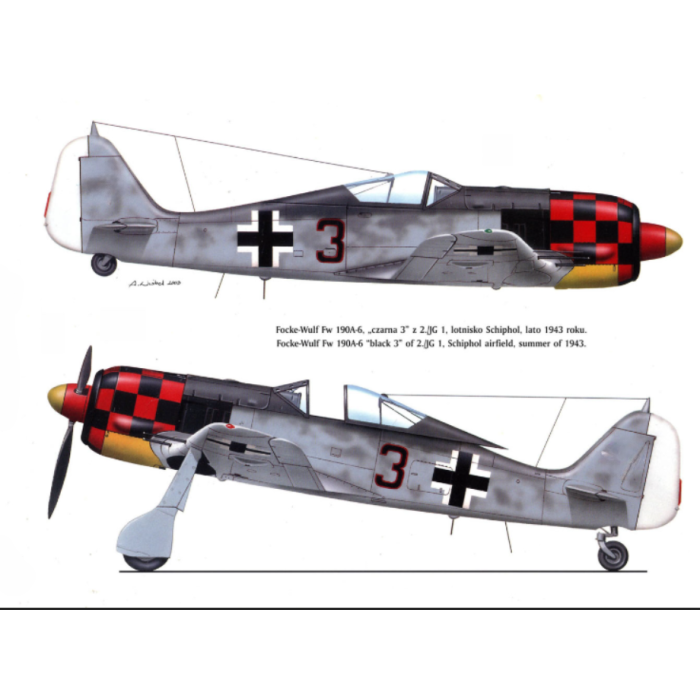 FW-190 Focke Wulf, Black 3, Top RC Model 