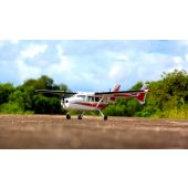 Cessna 337 Skymaster, Red/White, Seagull Models