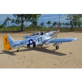 P-51D Mustang, "Charlotte's Chariot", Seagull Model